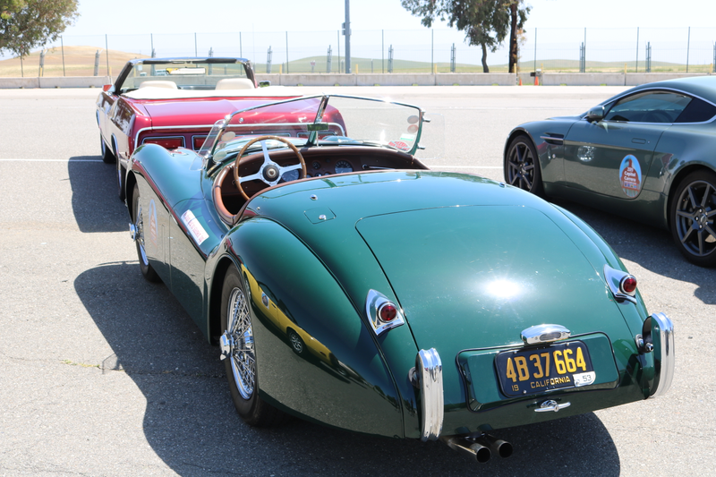 Illustration for article titled Day 2 Photodump (with RACE CARS!!!)